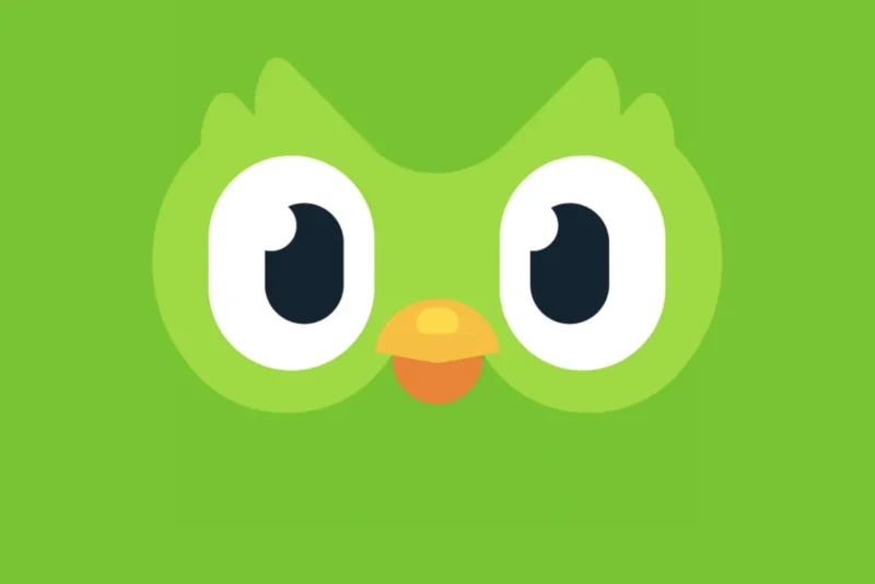 Learn English with Duolingo App: Complete Beginner’s Guide